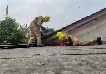 Innalillahi, Marbot Masjid di Bogor Tewas Disengat Tawon saat Hendak Evakuasi Sarang di Atap Rumah Tetangga