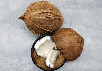 3 Arti Mimpi Kelapa Bisa Membawa Kabar Baik, Namun Ingatlah untuk Tetap Berhati-Hati