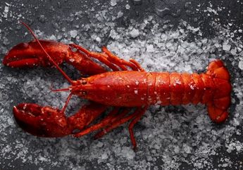 5 Arti Mimpi Mendapat Lobster, Ternyata Jadi Pertanda Bakal Mengalami Kemakmuran? Simak Penjelasannya