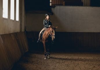 5 Arti Mimpi Naik Kuda, Berkaitan dengan Rasa Percaya Diri dan Kesuksesan