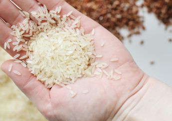 Bagaimana Cara Membayar Zakat Fitrah dan Berapa Besarannya? Simak Penjelasan dari Baznas dan Dalil-dalilnya!