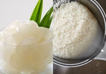 Rendam Kolang-Kaling dengan Air Beras Sebelum Dibikin Takjil, Dijamin Makin Empuk dan Tidak Bau Asam