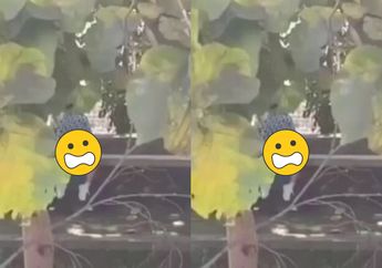 Astaghfirullah, Pelajar Kepergok Ewita di Pinggir Sungai Pas Siang Bolong, Dinas Pendidikan Kota Magelang Turun Tangan