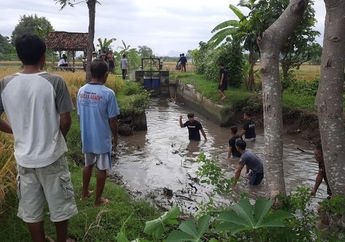 2 Bocah TK Ditemukan Meninggal Dunia Usai Tenggelam di Bendungan, Diduga Tak Bisa Berenang dan Terbawa Arus