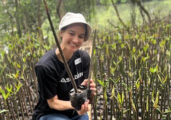 Dukung Ekosistem Blue Carbon, Ini Deretan Artis yang Konsentrasi dengan Konservasi Mangrove