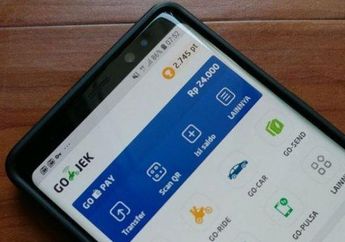 3 Penyebab Akun GopayLater Anda Diblokir dan Cara Mengaktifkan Kembali