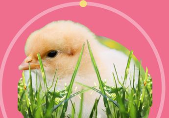 5 Shio Penyayang Binatang, Suka Jadi Pelindung Makhluk Kecil dan Lemah