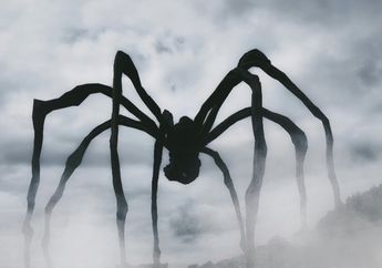 3 Arti Mimpi Membunuh Laba-laba Raksasa, Waspadalah Ternyata Menafsirkan Hal Buruk Ini!