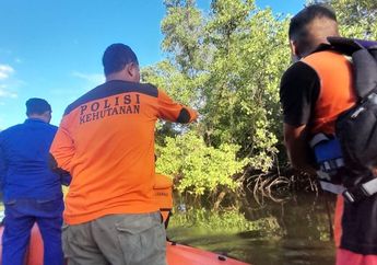 Geger, Pria di Ende NTT Diduga Hilang Diterkam Buaya saat Memancing di Sungai, Proses Pencarian Masih Dilakukan, Berikut Kronologinya