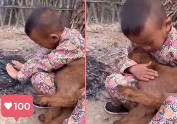 5 Shio yang Punya Hati Paling Hangat, Siapa Pun Pasti Merasa Dicintai Sepenuh Hati