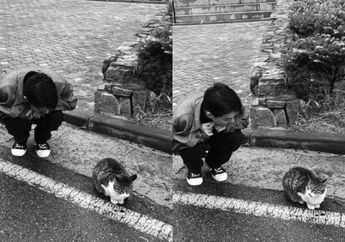 5 Shio Tipe Cat Person, Lebih Merasa Bahagia Kala di Rumah