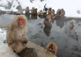 4 Arti Mimpi Pemandian Air Panas, Tenang Bukan Pertanda Buruk kok!