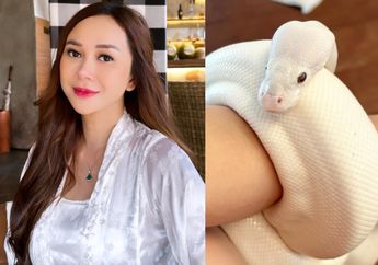 Pamer Dililit Ular Putih, Aksi Aura Kasih saat Main Ular Bareng Putri Bulenya Ini Bikin Netizen Ngilu Tak Karuan!