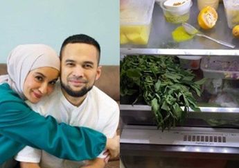 Panen Cibiran Gegara Isi Kulkas Kotor, Teuku Wisnu dan Shireen Sungkar Minta Maaf, Kini Malah Ketiban Rezeki Nomplok