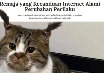 5 Shio Paling Rentan Kecanduan Internet, Batasi Atau Alami Degradasi