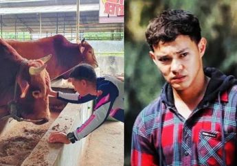 Diam-diam Jadi Juragan Sapi, Begini Nasib Aktor Kondang Ini Usai Jarang Tampil di TV, Kini Pilih Keluar Masuk Kandang Sapi