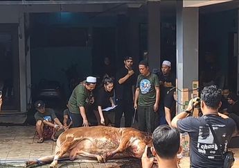 Ayu Ting Ting Lantunkan Takbir, Jadi Saksi Penyembelihan 2 Sapi Kurbannya
