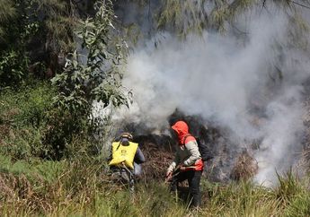 Lagi, Api Membakar Kawasan Bromo hingga Meluas ke Gunung Batok, Si Jago Merah Terus Membesar Gegara Tiupan Angin