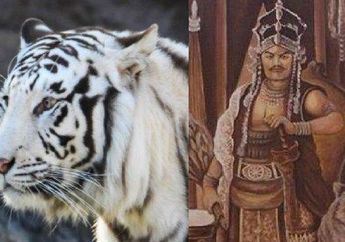 5 Arti Mimpi Bertemu Khodam yang Menyeramkan, Simbol Adanya Konfrontasi dengan Diri Sendiri