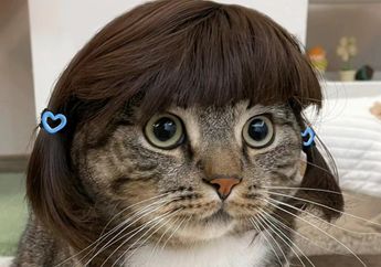 5 Shio Wanita yang Paling Mudah Buat Orang Jatuh Hati, si Happy Virus