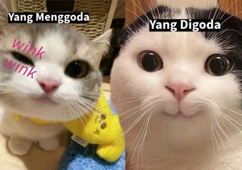 5 Shio Paling Suka Menggoda Lawan Jenis di Media Sosial, Kamu Termasuk?