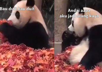 5 Shio Paling Terobsesi Jadi Orang Kaya, Selalu Cari Cara Mengeruk Harta Sebanyak-banyaknya