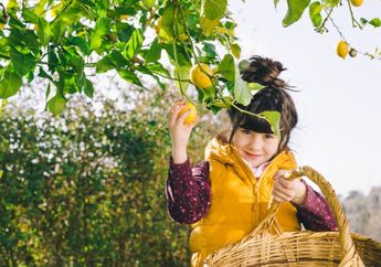 5 Shio Paling Tulus Memberi dan Bersedekah Tanpa Imbalan, Apa Gak Merasa Rugi?