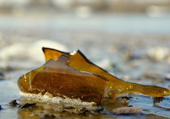 5 Arti Mimpi Botol Pecah Siap-siap Bersedih, Pertanda Kehilangan Kontrol sampai Ada Kekecewaan