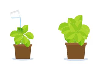 5 Shio Paling Konsisten Berbuat Baik, Ajek Beramal Setiap Hari Meski Hanya Melakukan Hal Kecil