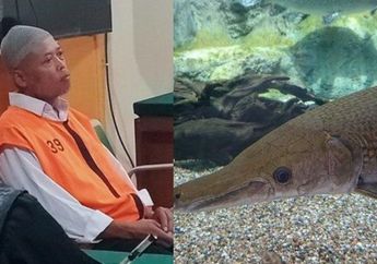 Apesnya Kakek Piyono Dipenjara Gegara Pelihara Ikan Jenis Ini, Tangisnya Pecah Ratapi Nasib: Saya Seperti Penjahat