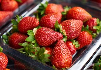 3 Shio Pecinta Strawberry, Suka Aroma Buah-buahan yang Segar dan Manis