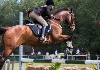 4 Arti Mimpi Naik Kuda, Firasat Apa Sebenarnya?