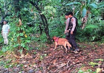 Terungkap! Tersangka Pembunuh Gadis Penjual Gorengan Ternyata Residivis Kasus Pencabulan, Keluarga Korban Makin Was-was