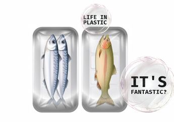 5 Shio Paling Tidak Suka Makan Ikan, Gak Tahan Bau Amisnya