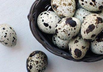 4 Arti Mimpi Makan Telur Puyuh Pertanda Baik, Siap-siap Dapat Keberuntungan