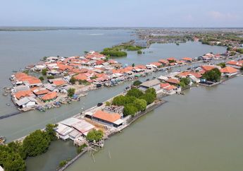 'Tebus Dosa Karbon', Kompas.com Tanam 5.000 Bibit Mangrove di Subang