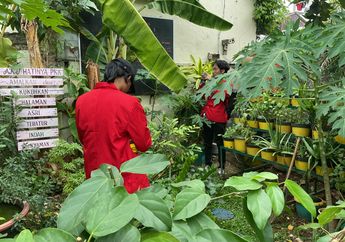 Taman Tanaman Obat Keluarga, Tempat Interaksi Sosial Warga Kampung Kota Jakarta