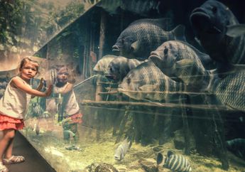 4 Arti Mimpi ke Kebun Binatang Bareng Anak, Firasat Baik atau Buruk?