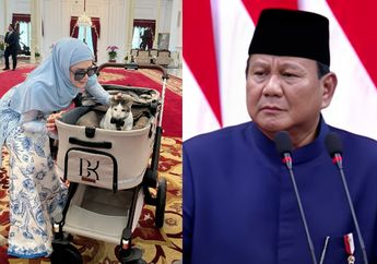 Gemoy! Kucing Prabowo Kini Jadi Penghuni Istana, Mulan Jameela Langsung Beri Wejangan Begini ke Peliharaan sang Presiden