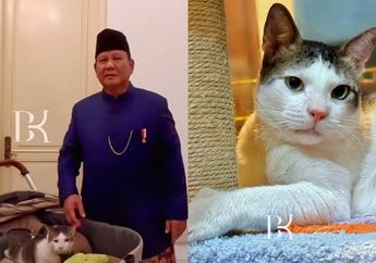 Serunya Presiden RI Prabowo Subianto Ceritakan Kucing Miliknya pada Wakil Perdana Menteri Inggris: Saya Punya Delapan