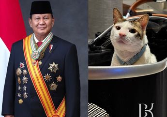 Mewahnya Stroller Kucing Presiden Prabowo, Bobby Kertanegara yang Diboyong ke Istana Negara, Harganya Bikin Netizen Kaget!