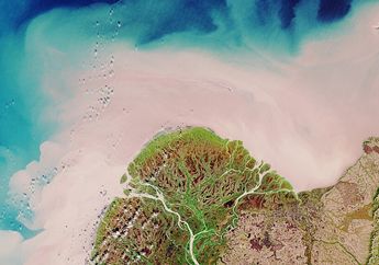 4 Arti Mimpi Sungai Air Susu, Tentang Kasih Sayang sampai Aspek Spiritual Diri