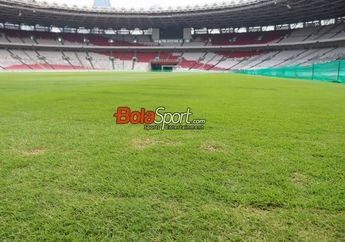 Runtuh Citra Baik yang Dibangun Influencer, Timnas Jepang Nyatakan Rumput GBK Tidak Rata