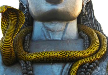 4 Arti Mimpi Dikejar Ular Cobra, Masalah Emosional sampai Peringatan