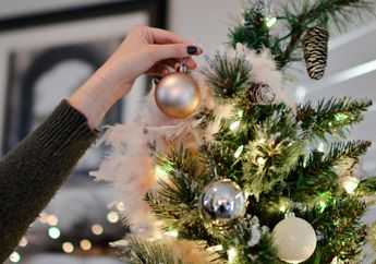 10 Tanaman Hias yang Cocok Dijadikan Dekorasi Natal 2025 di Rumah