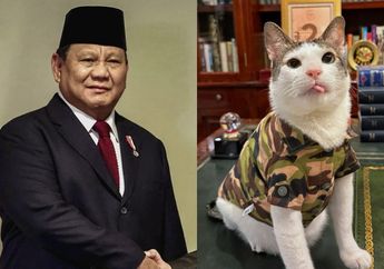 Jadi Penghuni Istana Negara, Kucing Kesayangan Prabowo Ini Sampai Dapat Hadiah Mewah dari Kedubes Tiongkok, Isinya Bikin Netizen Iri