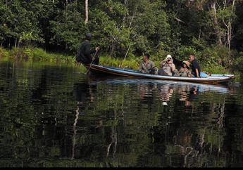 Menyusuri Hutan Taman Nasional Sebangau Kalteng, Menikmati Suasana Telaga yang Teduh dan Eksotis