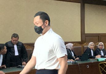 Harvey Moeis Divonis Hukuman 6,5 Tahun Penjara atas Kasus Korupsi Timah