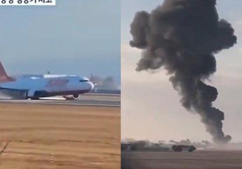 Video Detik-detik Pesawat Korea Jatuh dan Terbakar saat Mendarat, 28 Orang Dinyatakan Tewas