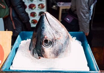 Ikan Tuna Segemuk Sapi Laku Terjual Rp 21 Miliar di Jepang, Masuk Harga Tertinggi Kedua dalam Lelang!